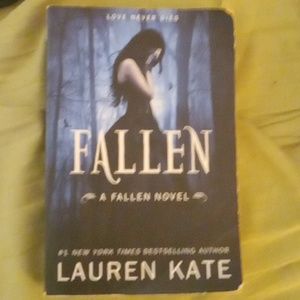 Romance book 1 and 2 of the fallen novel